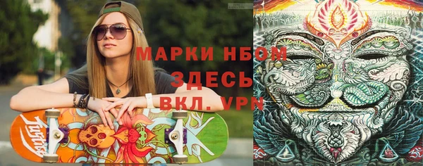 PSILOCYBIN Вяземский
