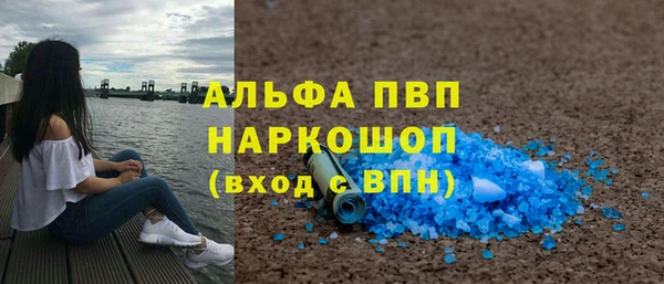 PSILOCYBIN Вяземский