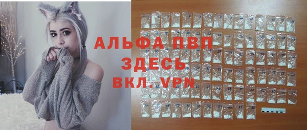 PSILOCYBIN Вяземский