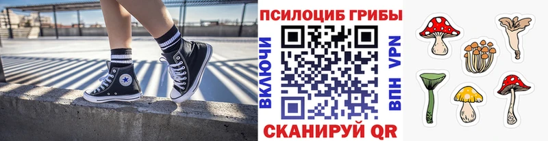 Галлюциногенные грибы Magic Shrooms  магазин продажи наркотиков  Чердынь 
